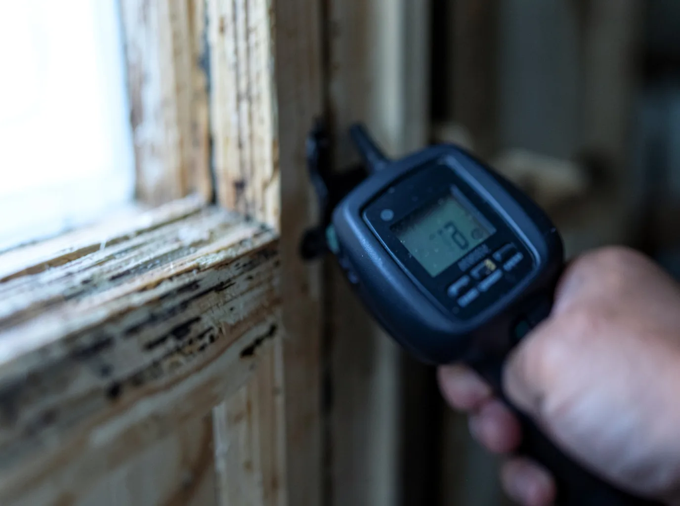 Moisture Inspection And Documentation in Centreville, MD